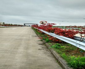 高速波形护栏厂家供应