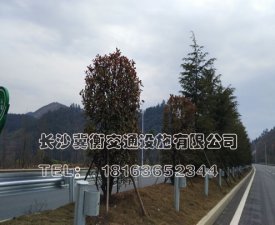 G234南县至茅草街公路改建工程ABCD标波形护栏及施